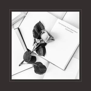 中文字幕亚洲欧美专区
